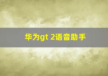 华为gt 2语音助手